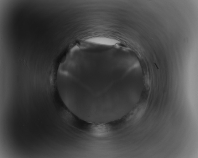 X0000087530181200705181037