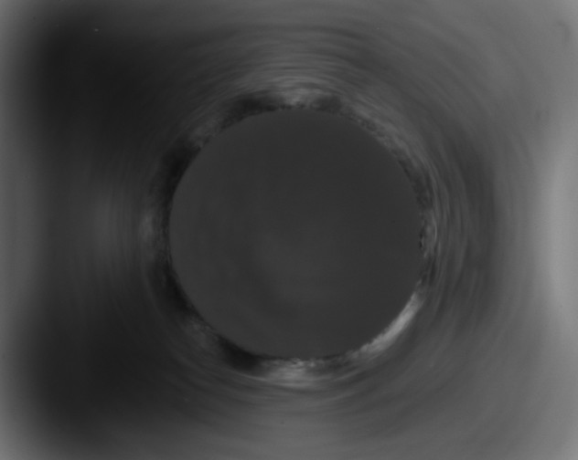 X0000087530182200705181037