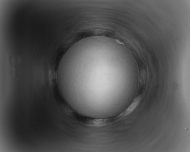 X0000087530184200705181037