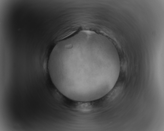 X0000087530185200705181037