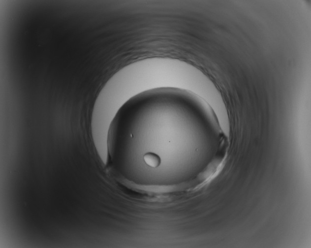 X0000087530186200705181037