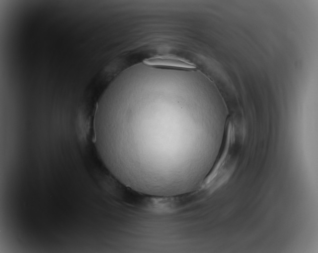X0000087530188200705181037