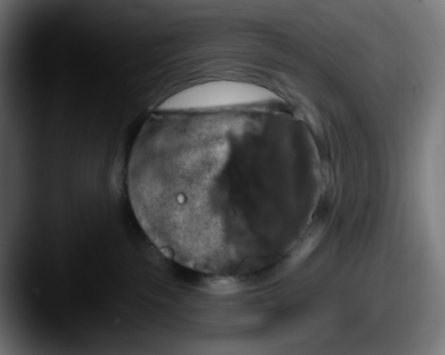 X0000087530189200705181037