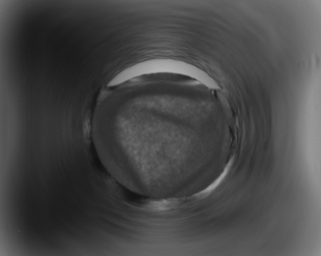 X0000087530190200705181037