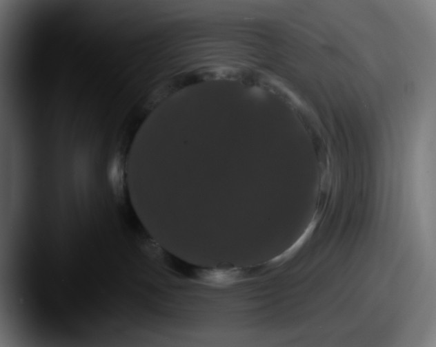 X0000087530191200705181037