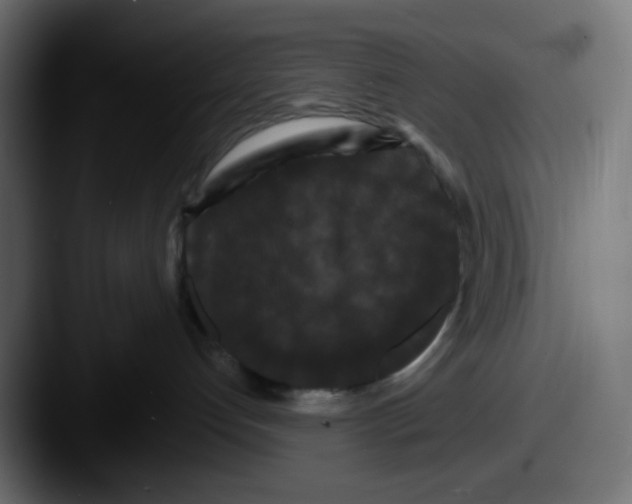 X0000087530192200705181037
