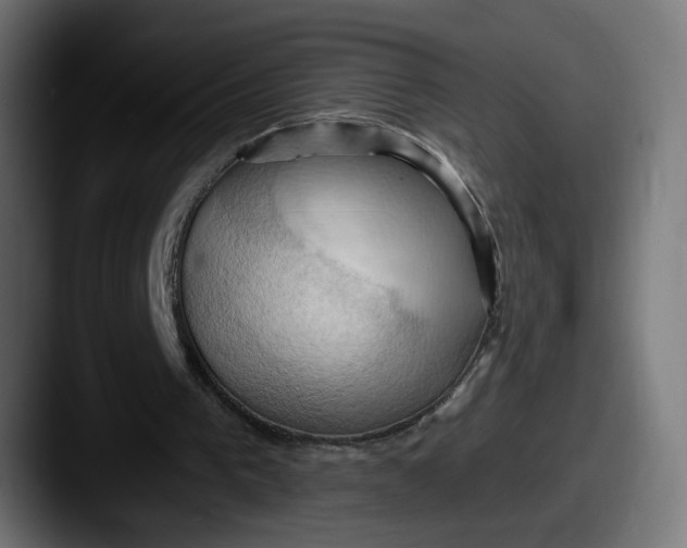 X0000087530193200705181036