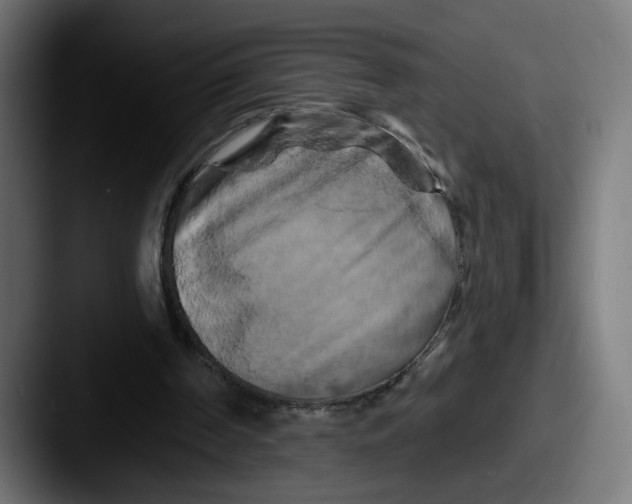 X0000087530194200705181036