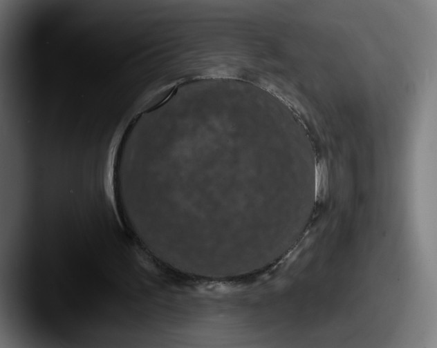 X0000087530195200705181036