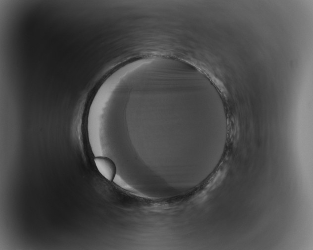 X0000087530196200705181036