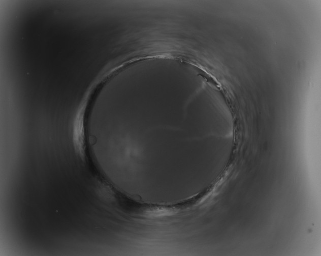 X0000087530198200705181036