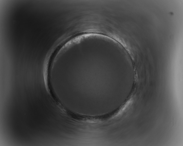 X0000087530199200705181036