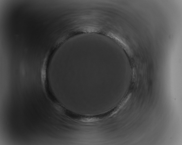 X0000087530202200705181036