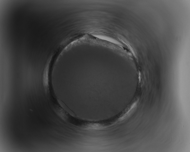 X0000087530203200705181036