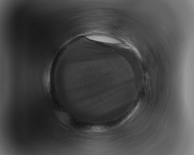 X0000087530204200705181036