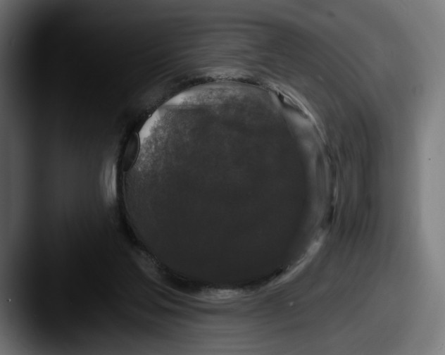X0000087530205200705181036