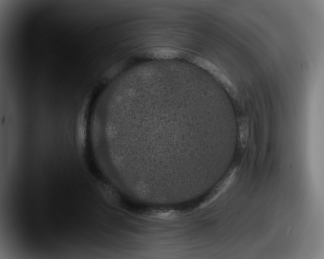 X0000087530206200705181036