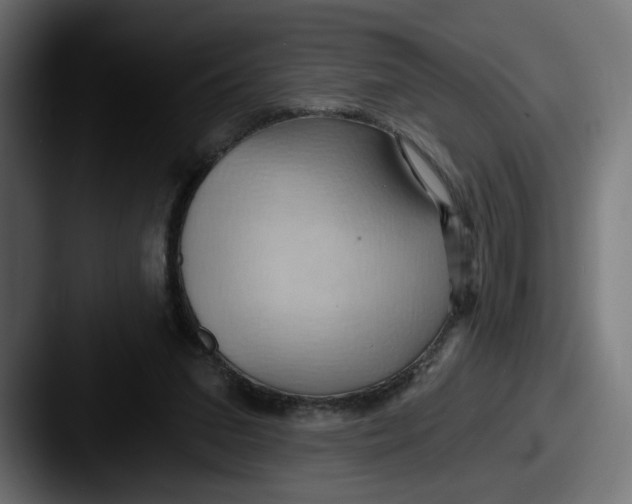 X0000087530207200705181036