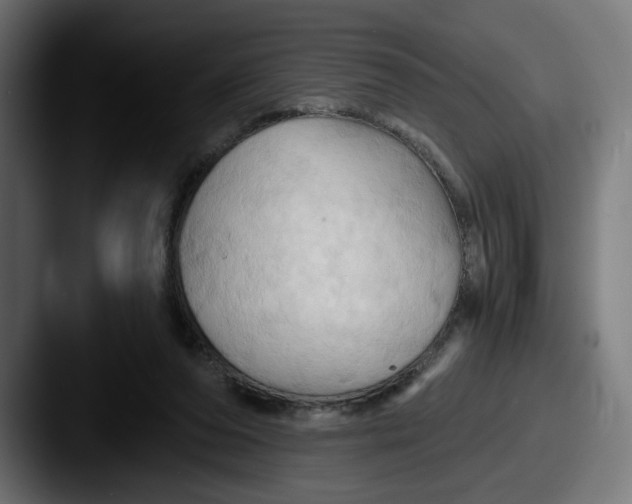 X0000087530208200705181036