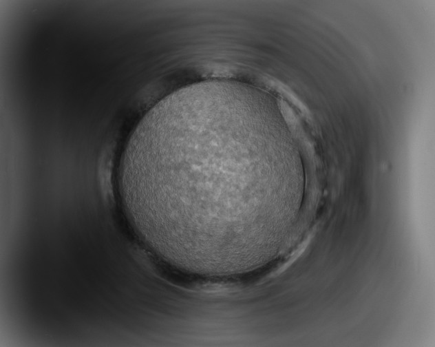 X0000087530209200705181036