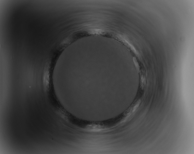 X0000087530211200705181036