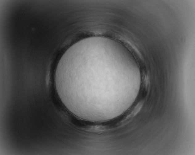X0000087530212200705181036