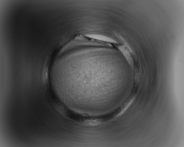 X0000087530213200705181036