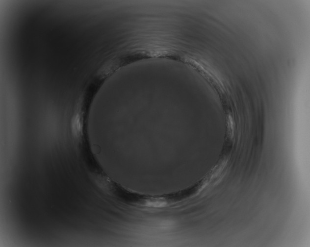 X0000087530214200705181036