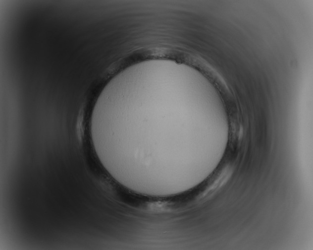 X0000087530216200705181036
