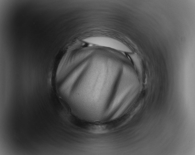 X0000087530217200705181036