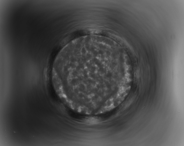 X0000087530218200705181036