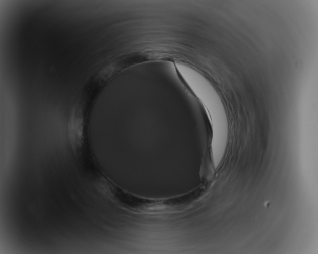 X0000087530219200705181036