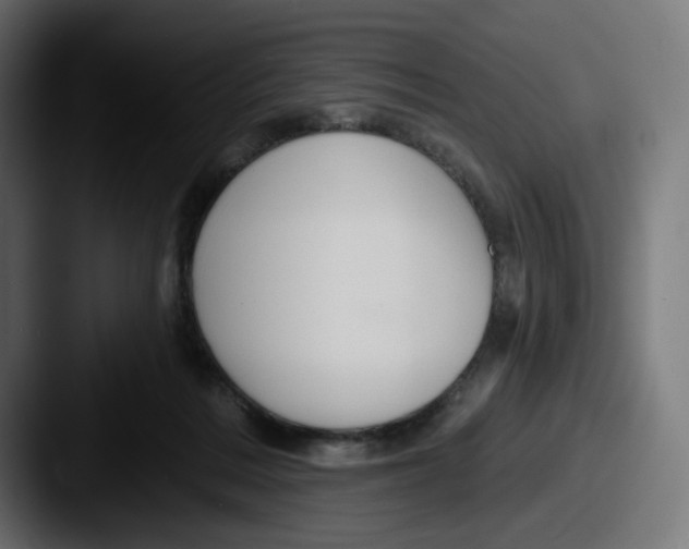X0000087530220200705181036