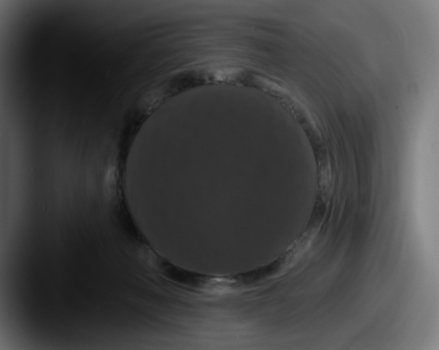 X0000087530222200705181036