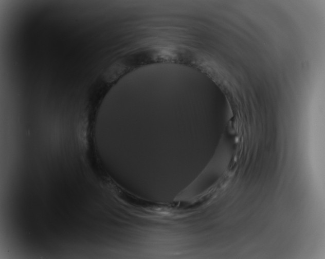 X0000087530223200705181036
