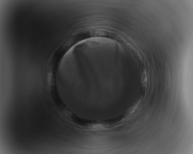 X0000087530224200705181036