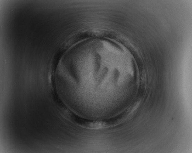 X0000087530225200705181036