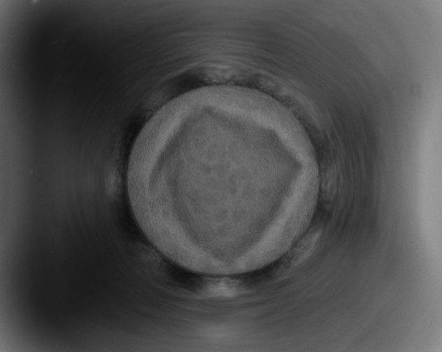X0000087530226200705181036