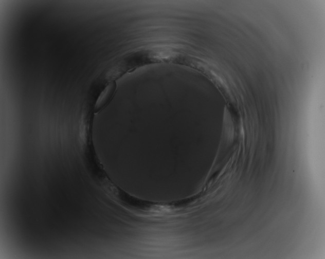 X0000087530227200705181036