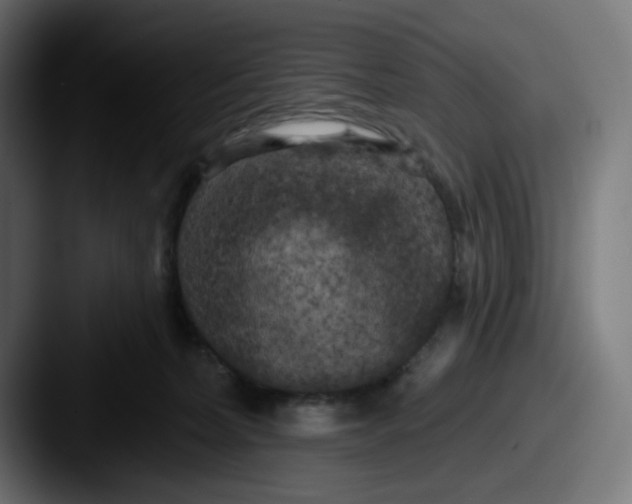 X0000087530228200705181036