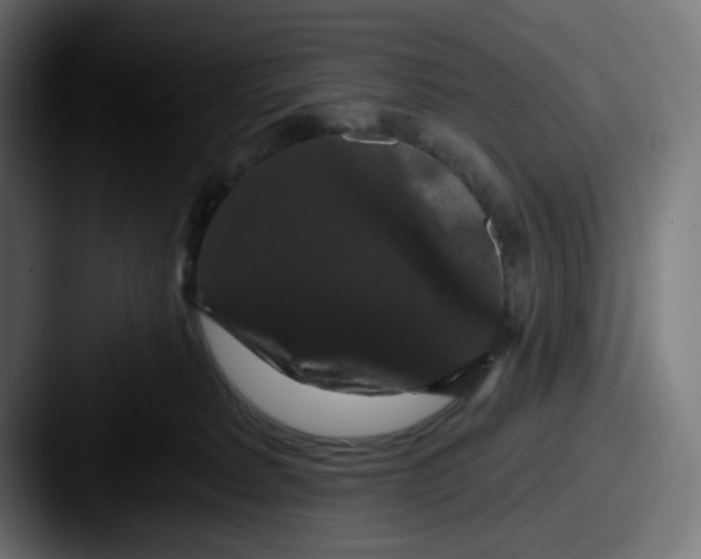 X0000087530229200705181036