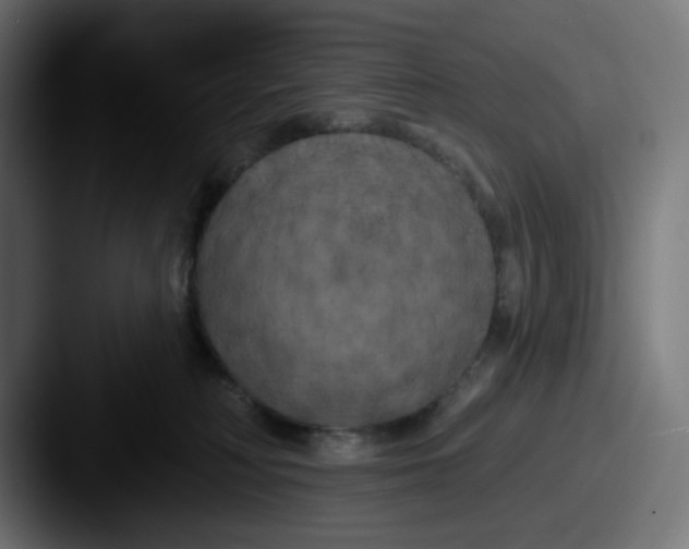 X0000087530230200705181036