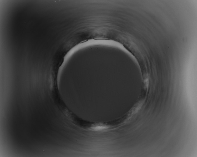 X0000087530231200705181036