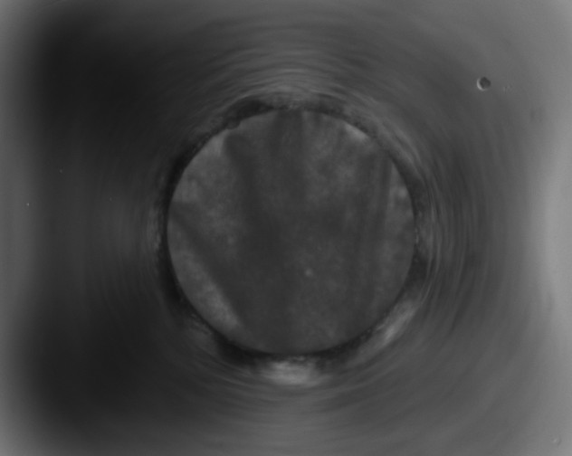 X0000087530232200705181036