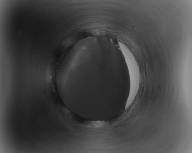 X0000087530233200705181036