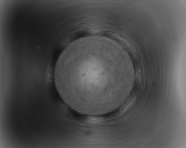 X0000087530234200705181036