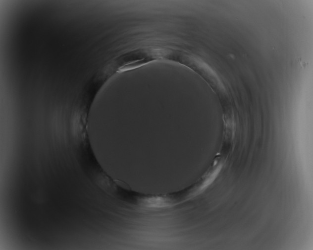 X0000087530237200705181036