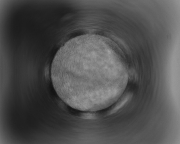 X0000087530238200705181036