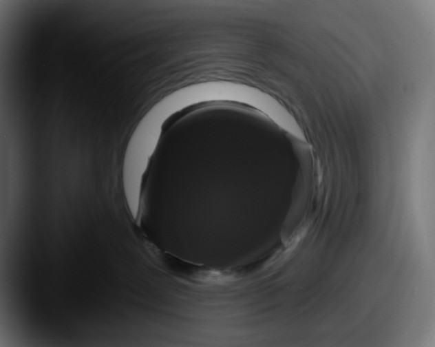 X0000087530239200705181036