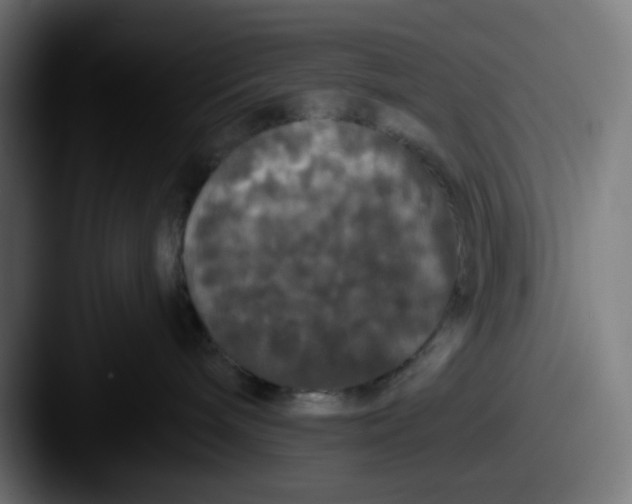 X0000087530240200705181036
